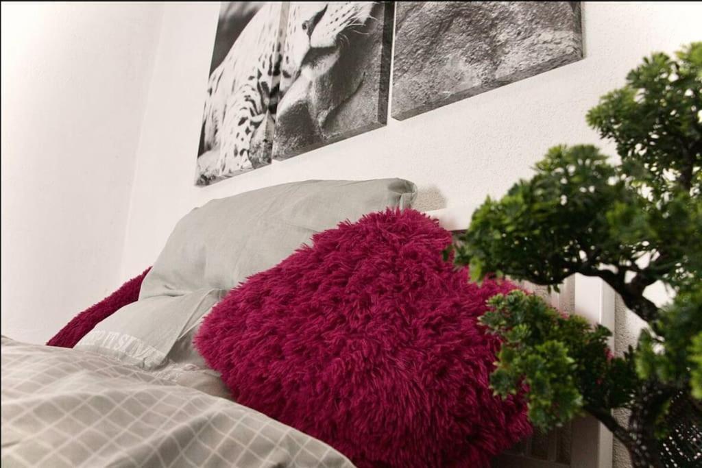 Weisweil  Modern Holiday Home Near Rheinfall And Black Forest المظهر الخارجي الصورة